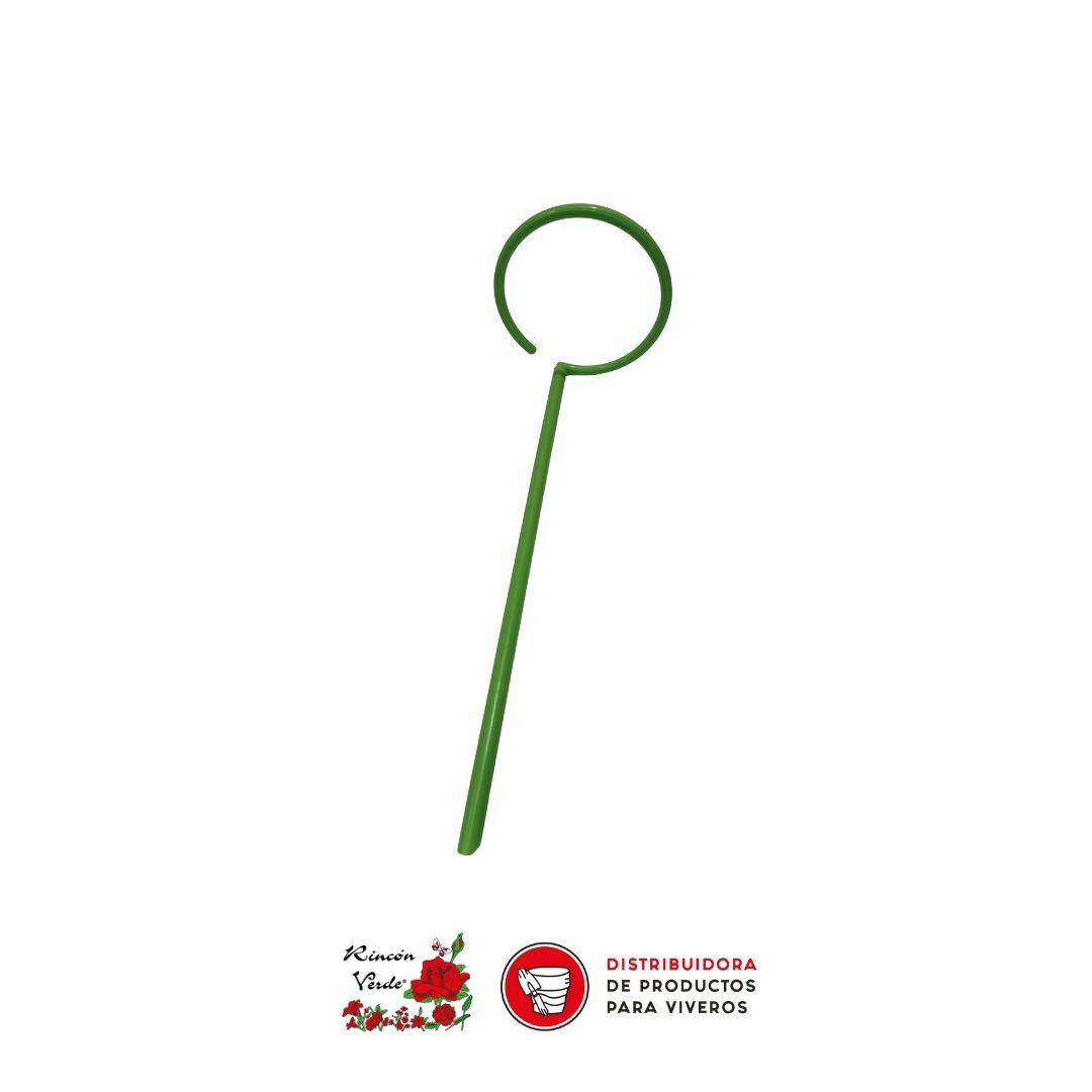 PLANTILLA RV PARA PAGINA WEB