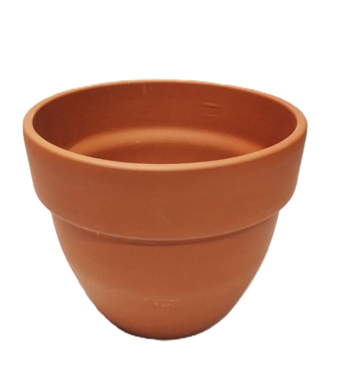 WhatsApp Image 2025-11-18 at 11.15.10 (3)