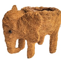 MACETA COCO ELEPHANT IMPORTADO MATRI