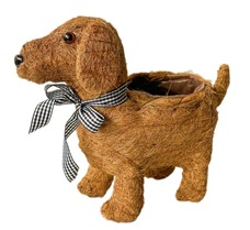 MACETA COCO DOG IMPORTADO MATRI