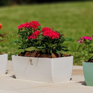 JARDINERA PREMIUM TA PLASTIC