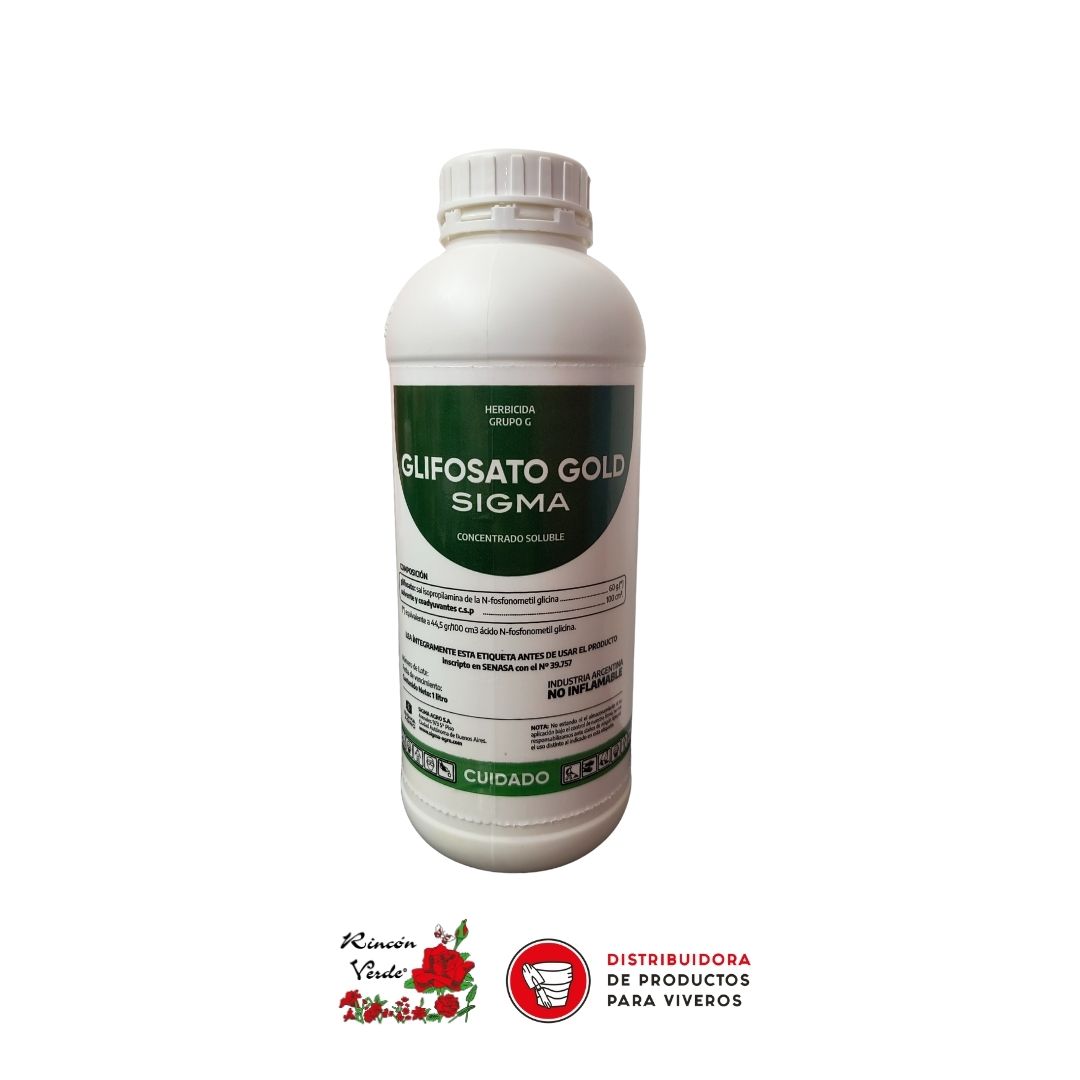 PLANTILLA RV PARA PAGINA WEB (2)