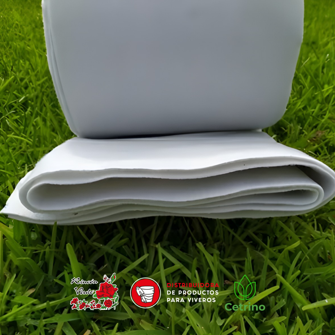 PLANTILLA RV PARA PAGINA WEB (7)