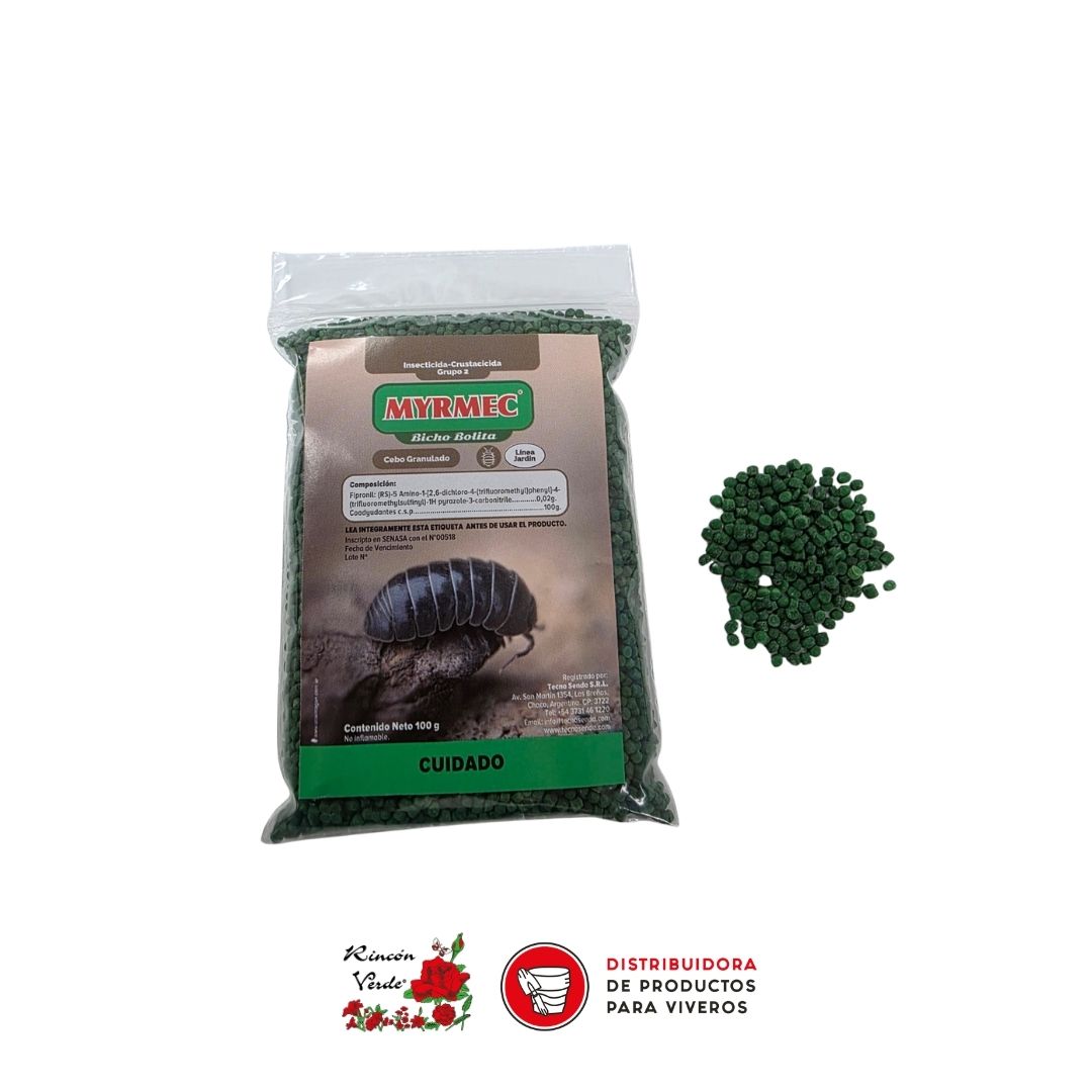 PLANTILLA RV PARA PAGINA WEB