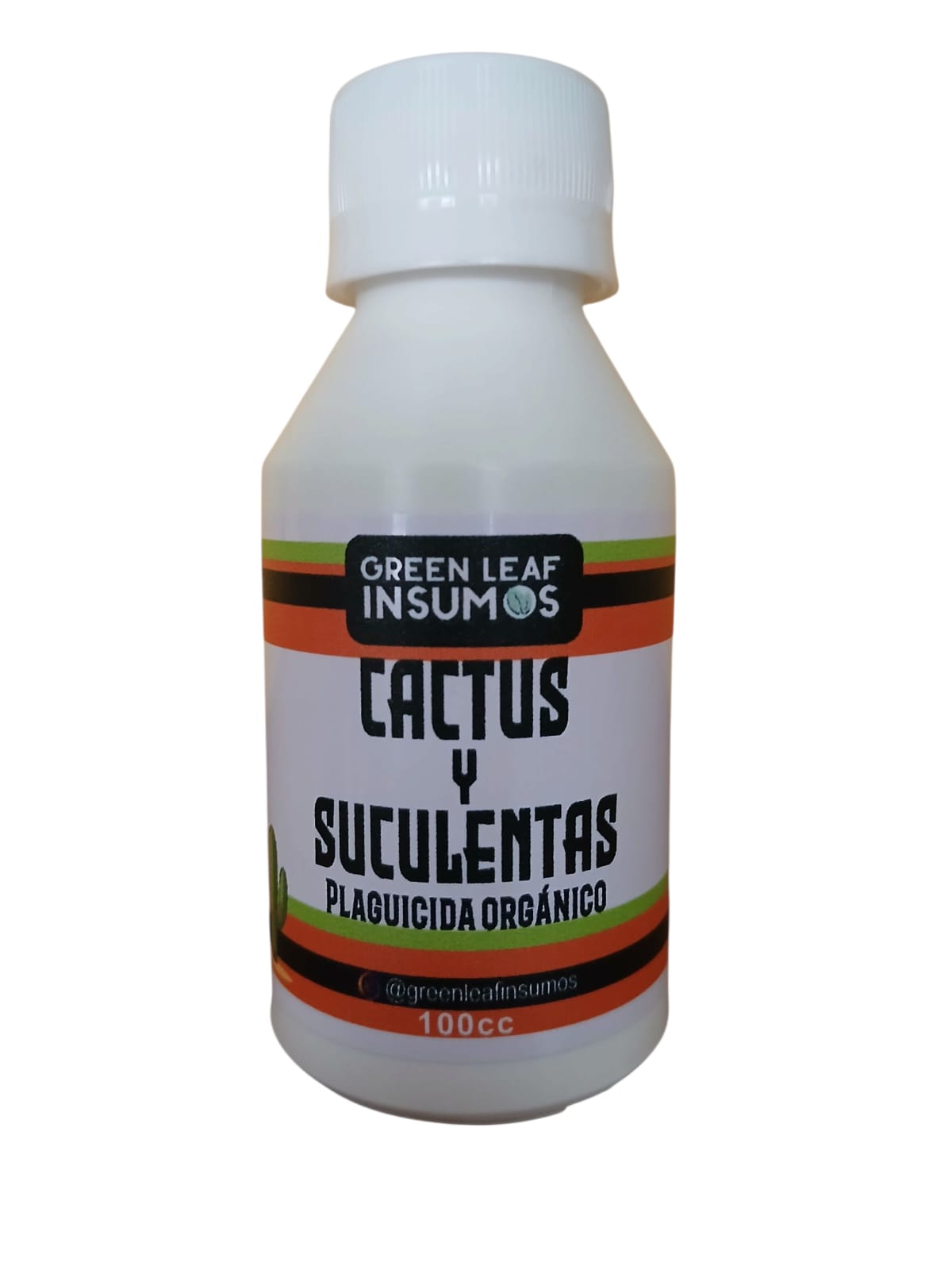 WhatsApp Image 2026-03-30 at 09.28.17