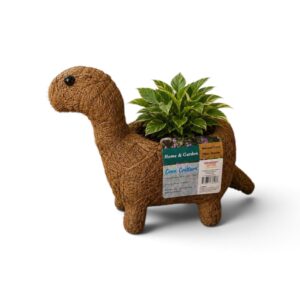 MACETA COCO DINOSAURIO IMPORTADO MATRI